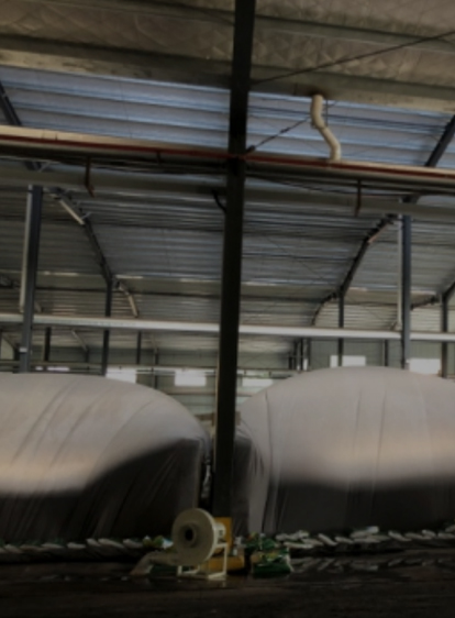 首页-人生就是博